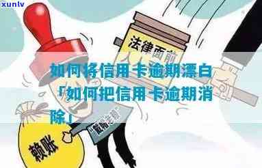 信用卡逾期怎么去除污点