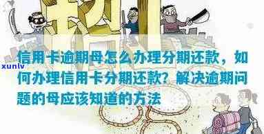 逾期多久可办理信用卡分期还款：解答您的疑惑