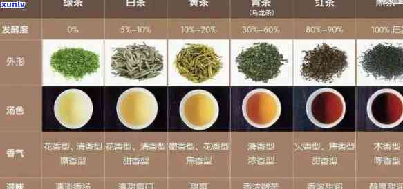 普洱茶：红茶的误解还是绿茶的真相？揭秘普洱茶叶的分类之谜