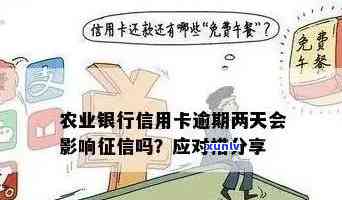 翡翠项链男无吊坠