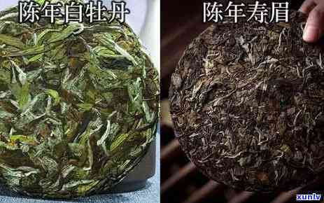 普洱茶陈化时间及品质演变：几年算老茶？如何鉴别老茶的品质？