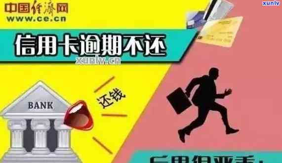 蓝底翡翠手镯全方位解析：价格、选购、保养及搭配建议