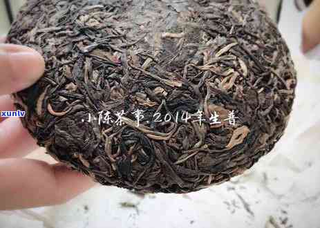 冬饮茶：红茶与普洱哪个更适合？