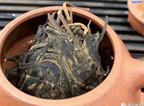 老班章1号茶园：高品质茶叶的产地、种植工艺和品鉴 *** 一应俱全