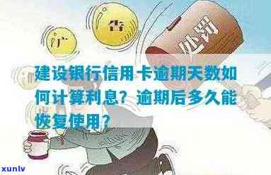 建设银行信用卡逾期还款利息的计算 *** 与实践探讨