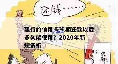 建行信用卡2020年逾期新规全解析：还款期限、罚息政策及影响一网打尽