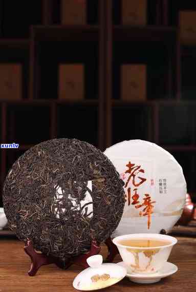 老班章300年古树生茶：韵味独特的普洱茶珍品