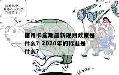 2020年信用卡逾期还款政策解读：最新规定与标准分析