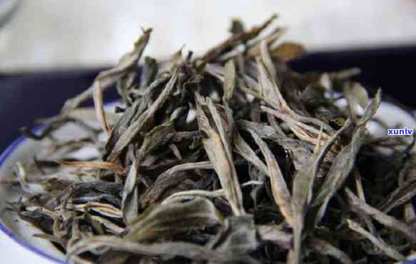 老班章茶口感特点：古树茶与班章茶的风味对比