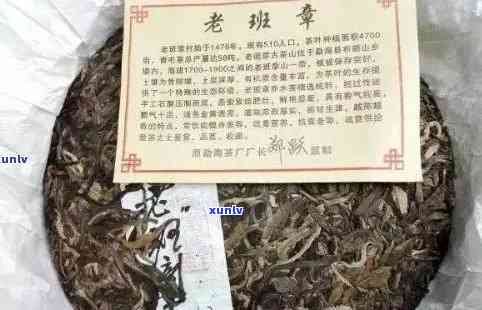 勐海老班章茶叶价格、成立念茶饼及正宗性分析 - 勐海老班章茶叶协会