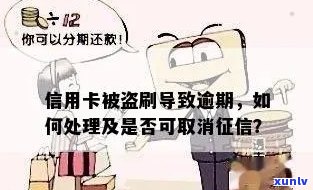 手机被偷造成信用卡逾期，怎么办？