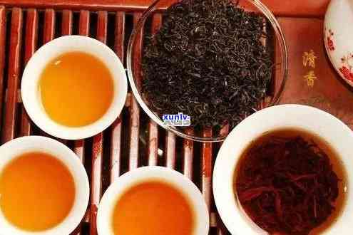 普洱茶和红茶：它们属于同一类茶叶吗？