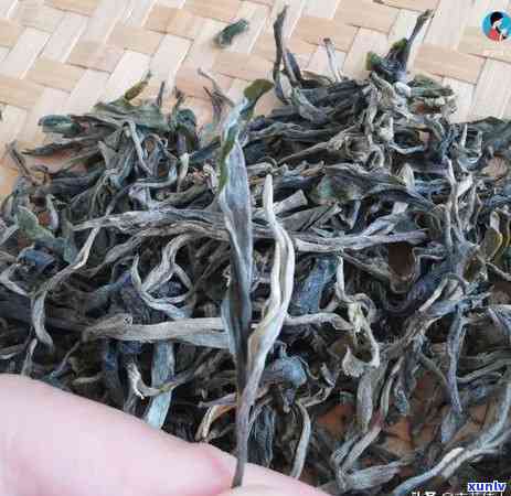 冰岛和老班章都是熟茶吗-冰岛茶和老班章的区别