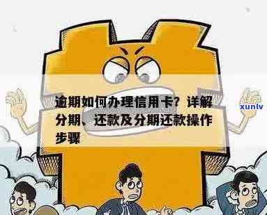 信用卡逾期后如何进行分期还款？详细操作步骤及注意事项解答