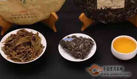 中粮老班章价格：中茶老班章优质茶叶的精选与推荐