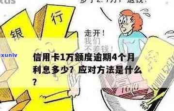 十万信用卡逾期难题：处理方式与预防措全面解析