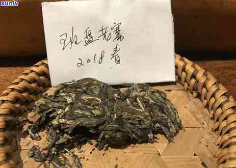 老班章大门外的茶地