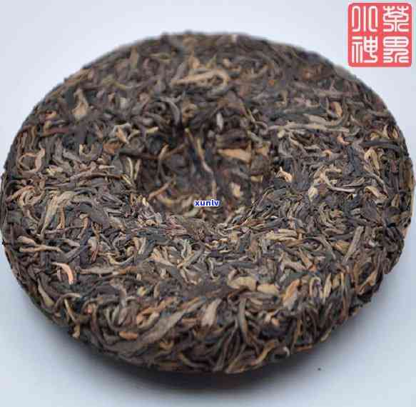 老班章古茶树：岁月沉淀的普洱茶传奇