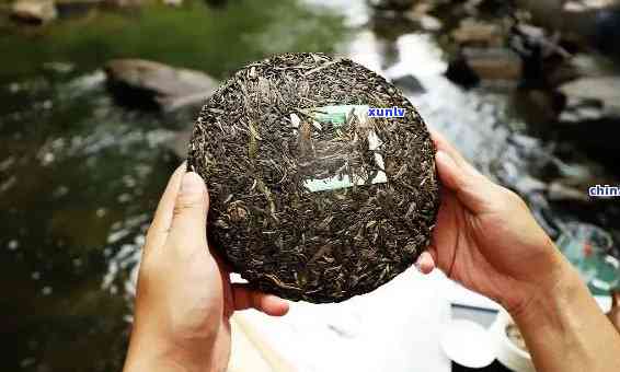 福海古树老班章茶厂精选普洱茶饼：品鉴与鉴指南