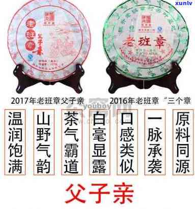 2021年老班章茶：品质、产地、冲泡 *** 及健益处全面解析