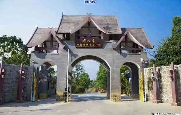 新勐海布朗山老班章村旅游指南：景点介绍、住宿、美食及交通攻略