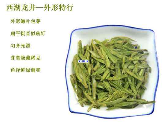 普洱茶与龙井茶的口感对比：一场茶叶宴的品鉴之旅