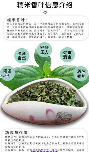 探究糯米草在糯米普洱茶中的神奇成分及作用