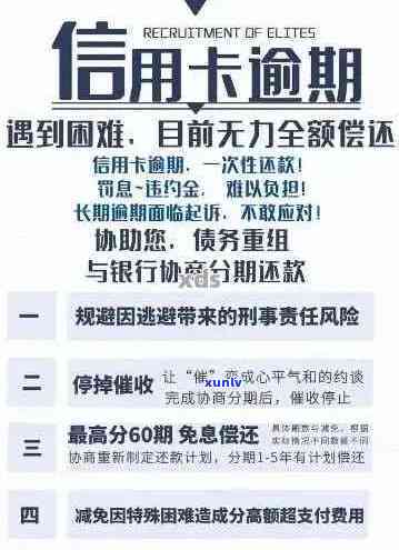 逾期贷款和信用卡的处理时间以及可能的法律后果