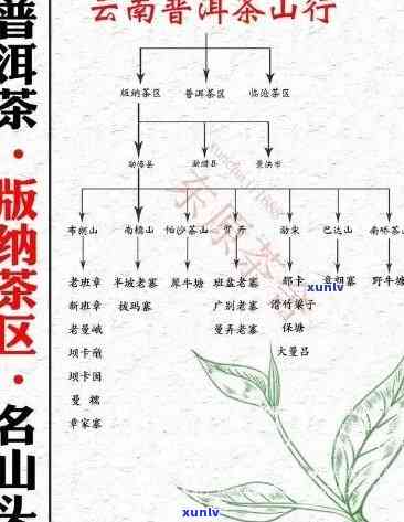 全面了解六大茶山老班章的价格、品质与特点，助您轻松挑选最适合的茶叶