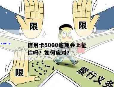 信用卡欠款5000逾期怎么办？影响、还款攻略一应俱全！