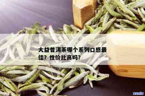 大益普洱茶口感系列对比：哪一款更受欢迎？