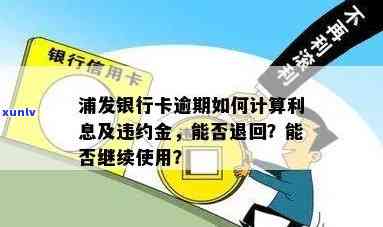 浦发信用卡逾期利息和违约金高昂？了解详细信息并制定还款计划！