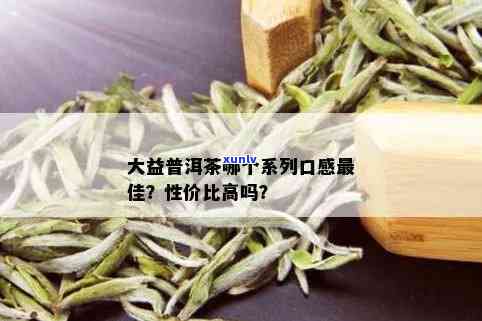 大益普洱茶口粮推荐：全面比较各款产品性能，助您轻松选对茶叶