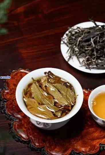 老班章茶与冰岛茶的独特特点：比较与解析