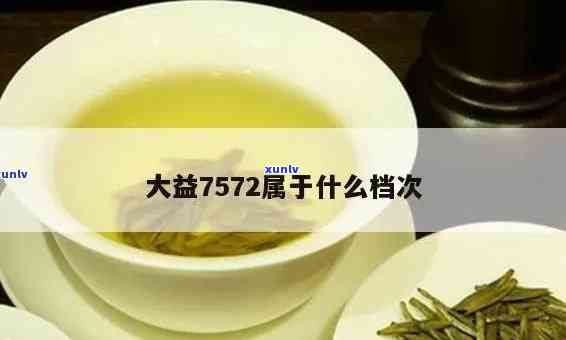 大益普洱7572:一款独特的普洱茶品种解析与品鉴指南