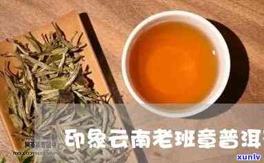 云南老班章茶有几种