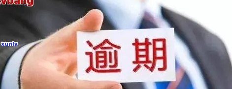 东莞信用卡逾期管理与解决服务公司：全方位帮助您处理逾期问题