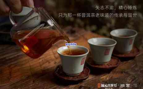 老班章茶：特点与口感，苦尽来十分甜，介绍与体验，感受口中的汗