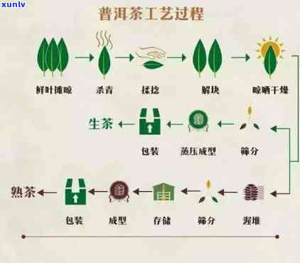 保护和存老班章普洱茶的科学 *** ：一份详尽指南