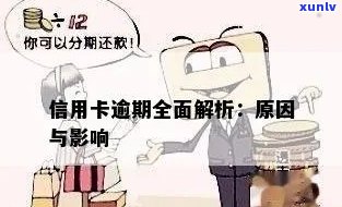 喝普洱一个月减8斤：实际效果与可能的体重变化