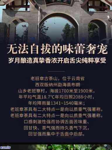 南峤老班章2022年：全面探索，了解当地文化、旅游景点和活动