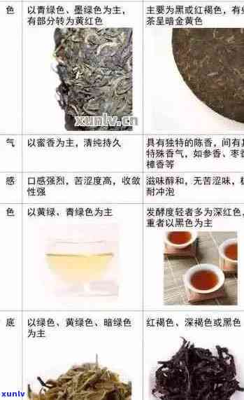 云南勐海老班章茶品批发价格与普洱茶生熟茶区别解析