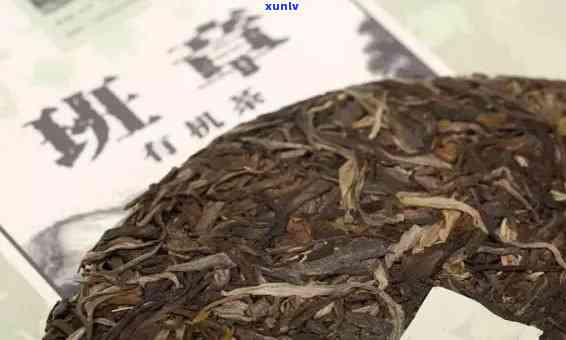 04年老班章大白菜生态茶：稀缺品种的独特魅力与价值解析