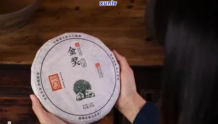 舍得普洱茶价格及一盒多少钱：详细了解这款茶饼