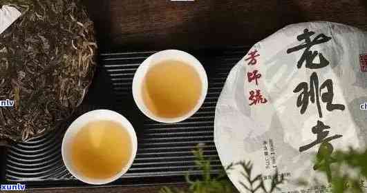 老班章茶文化：一部普洱茶历的缩影与传承