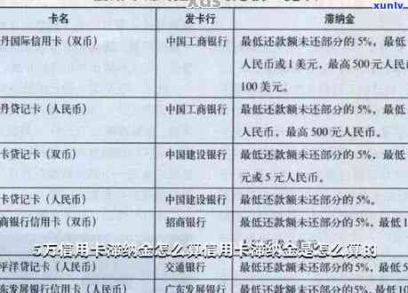 信用卡逾期还款金额如何计算？逾期利息、滞纳金等相关费用一览表