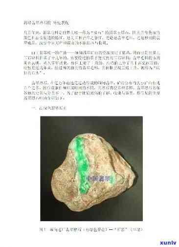 重庆翡翠原石详细分类及珍贵品种解析