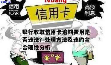 信用卡部分逾期收费违法吗？如何处理与应对？