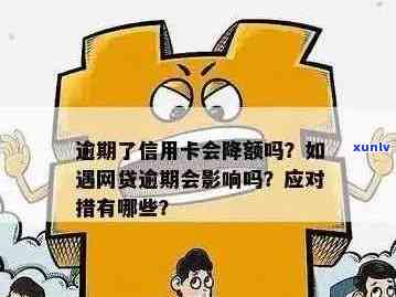 信用卡网贷严重逾期借钱呗能借到吗？