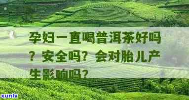 孕妇早期饮用普洱茶：安全性、益处与注意事项的全面解析